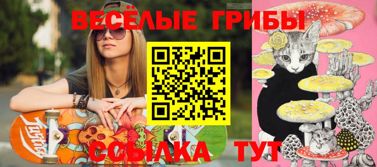 Галлюциногенные грибы Psilocybe Солнечногорск