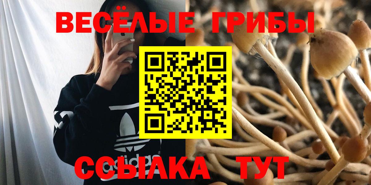 Галлюциногенные грибы мицелий  Вход с VPN  Галлюциногенные грибы GOLDEN TEACHER  что такое наркотик  Солнечногорск 